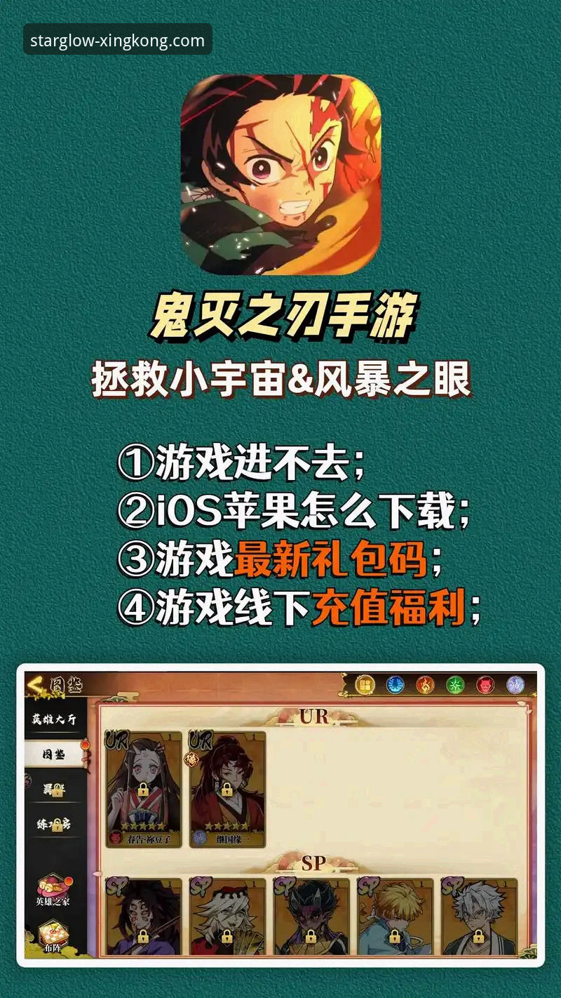 星空娱乐平台2024实用指南：从下载安装到赛事分析的完整攻略